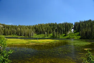 DSC_0039 (Large).JPG